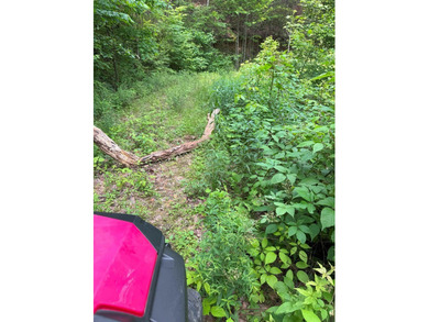 Opportunity Knocks to own this 88.41 acre parcel close to - photo 17