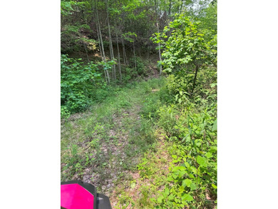 Opportunity Knocks to own this 88.41 acre parcel close to - photo 18