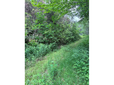 Opportunity Knocks to own this 88.41 acre parcel close to - photo 20