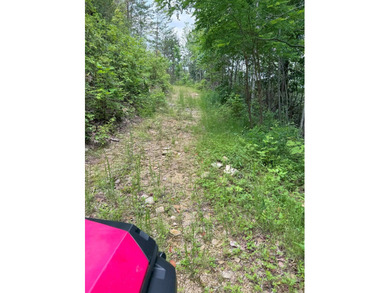Opportunity Knocks to own this 88.41 acre parcel close to - photo 21