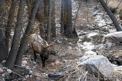 (private lake, pond, creek) Acreage For Sale in Glen Haven Colorado
