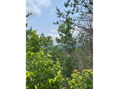 Opportunity Knocks to own this 88.41 acre parcel close to - photo 22