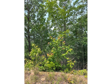 Opportunity Knocks to own this 88.41 acre parcel close to - photo 23