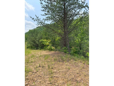 Opportunity Knocks to own this 88.41 acre parcel close to - photo 24