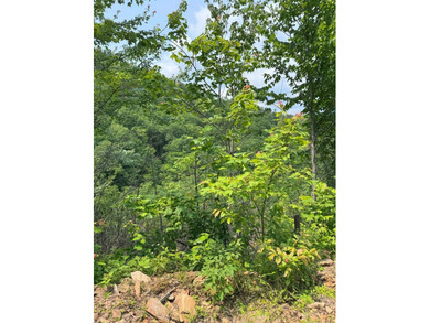 Opportunity Knocks to own this 88.41 acre parcel close to - photo 25