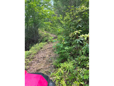 Opportunity Knocks to own this 88.41 acre parcel close to - photo 26