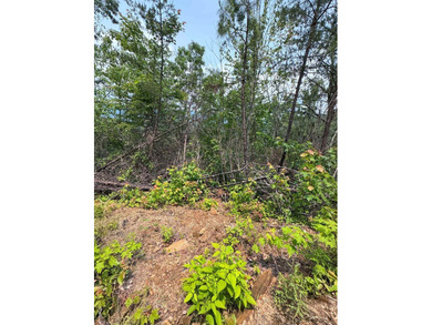 Opportunity Knocks to own this 88.41 acre parcel close to - photo 28