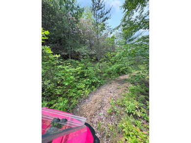 Opportunity Knocks to own this 88.41 acre parcel close to - photo 29