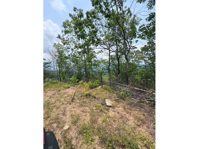 Opportunity Knocks to own this 88.41 acre parcel close to - photo 30