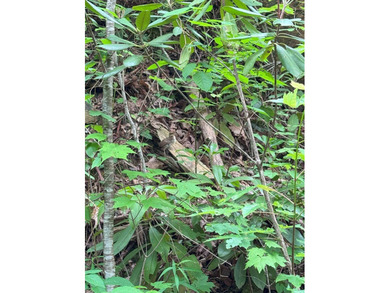 Opportunity Knocks to own this 88.41 acre parcel close to - photo 31
