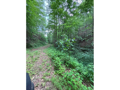 Opportunity Knocks to own this 88.41 acre parcel close to - photo 32