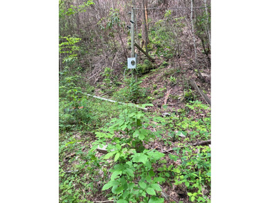 Opportunity Knocks to own this 88.41 acre parcel close to - photo 33