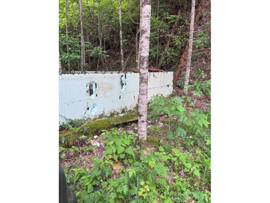 Opportunity Knocks to own this 88.41 acre parcel close to - photo 34