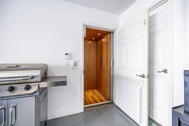 ELEVATOR ACCESS TO ALL THREE LEVELS! Welcome to 27 Palmas Drive - photo 47