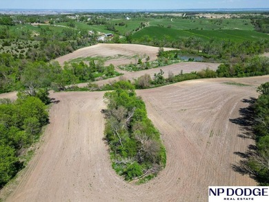 Rare opportunity to own a beautiful piece of land with - photo 13