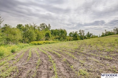 Rare opportunity to own a beautiful piece of land with - photo 14