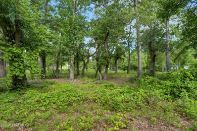A once-in-a-lifetime opportunity to own a grandfathered - photo 14