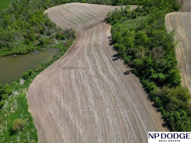 Rare opportunity to own a beautiful piece of land with - photo 15
