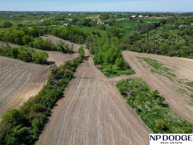 Rare opportunity to own a beautiful piece of land with - photo 17