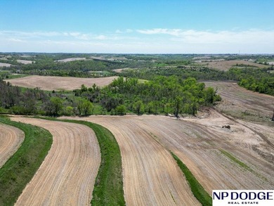 Rare opportunity to own a beautiful piece of land with - photo 22