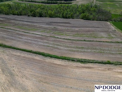 Rare opportunity to own a beautiful piece of land with - photo 38
