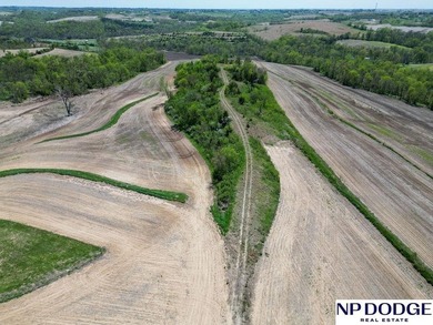 Rare opportunity to own a beautiful piece of land with - photo 42
