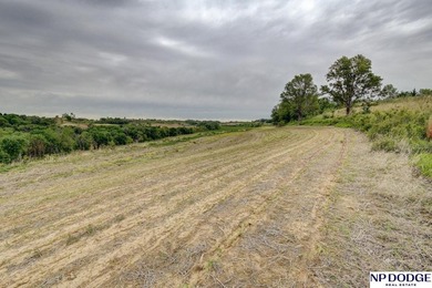 Rare opportunity to own a beautiful piece of land with - photo 45