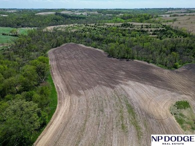 Rare opportunity to own a beautiful piece of land with - photo 46