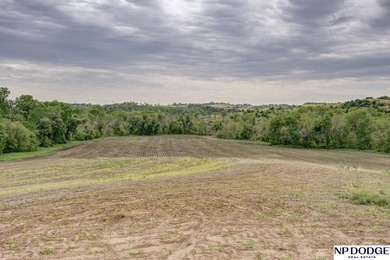 Rare opportunity to own a beautiful piece of land with - photo 47