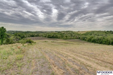 Rare opportunity to own a beautiful piece of land with - photo 49