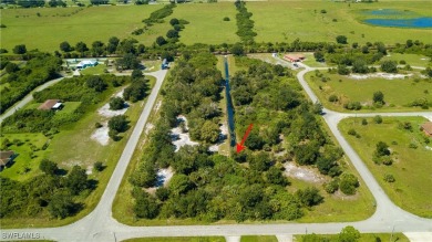 Lehigh Acres Area Lot For Sale in Lehigh Acres Florida
