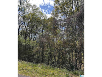 Lake Wedowee / RL Harris Reservoir Lot For Sale in Wedowee Alabama