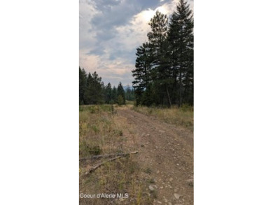 Spirit Lake Lot For Sale in Spirit Lake Idaho