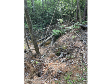 What a great get-away! Off Grid recreational property with a - photo 9