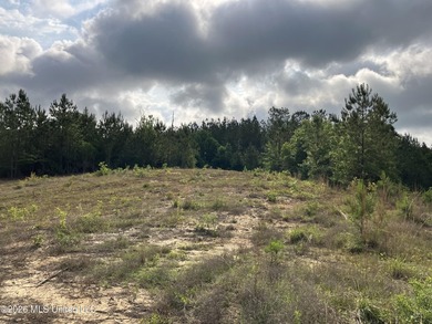 What a great get-away! Off Grid recreational property with a - photo 10