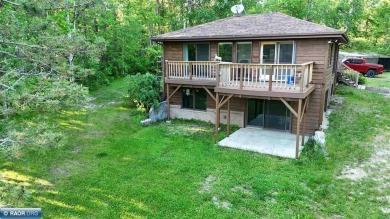 Lake Home For Sale in Tower, Minnesota