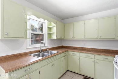 Welcome to 513 Smokey Drive in Loudon, TN! This charming - photo 13