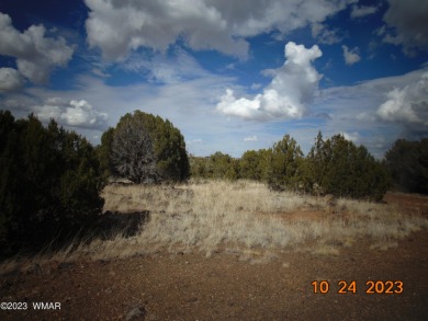 Lake Lot For Sale in Show Low, Arizona
