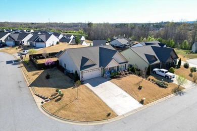 Welcome to 1201 Rosabella Lane-an exceptional Craftsman-style - photo 42