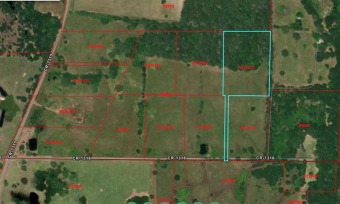 6.2 acres with approximately 1 acre open pasture and 5 acres SOLD - Lake Acreage SOLD! in Malakoff, Texas