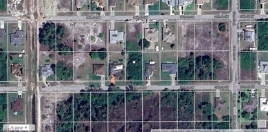 Lehigh Acres Area Lot For Sale in Lehigh Acres Florida