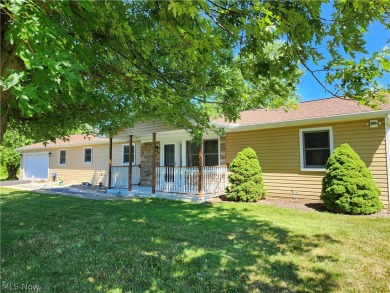 Cinnamon Lake Home For Sale in West Salem Ohio