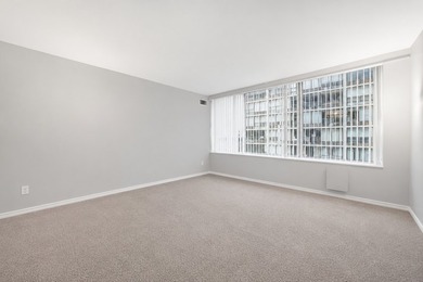 Spacious 1-bedroom corner unit in the heart of Streeterville - photo 12