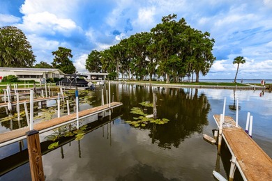 Amazing opportunity to live in a beautiful home with impressive - photo 12
