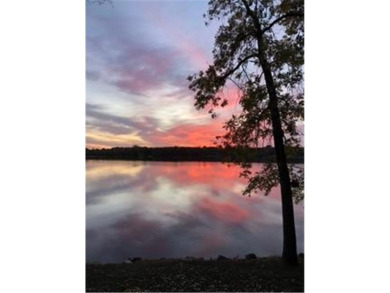 Lake Home For Sale in Howard Lake, Minnesota