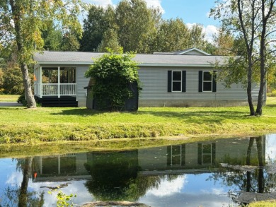 Lake Home For Sale in Reed City, Michigan