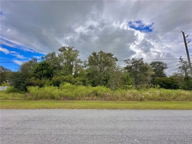 Bonable Lake Lot For Sale in Dunnellon Florida