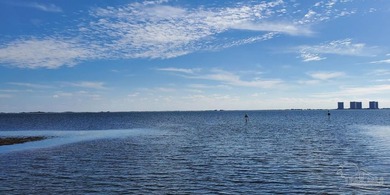 For buyers searching nationwide for true Florida waterfront with - photo 38