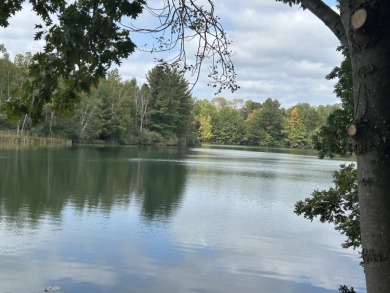 Lake Lot For Sale in Canadian Lakes, Michigan