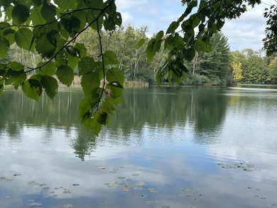Waterfront Lot on Lake of the Clouds in Canadian Lakes!! - photo 3